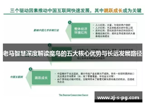 老马智慧深度解读魔鸟的五大核心优势与长远发展路径 老马智慧深度解读魔鸟的五大核心优势与长远发展路径
