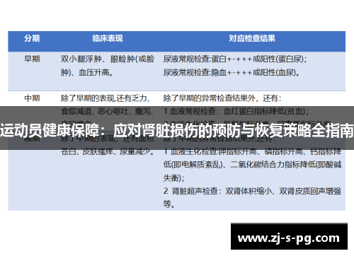 运动员健康保障：应对肾脏损伤的预防与恢复策略全指南