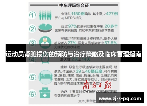 运动员肾脏损伤的预防与治疗策略及临床管理指南