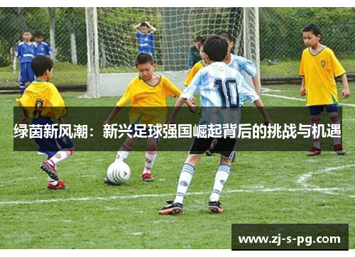 绿茵新风潮：新兴足球强国崛起背后的挑战与机遇